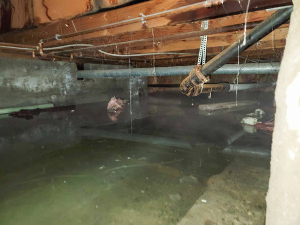 Best Flood restoration services  in Lithia Springs, GA
