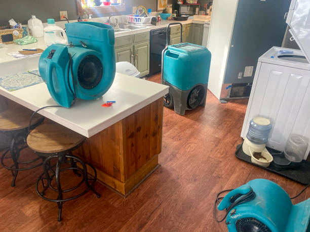Best Ceiling water damage repair  in Lithia Springs, GA