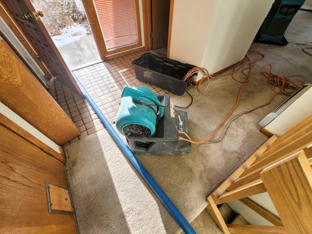 Best Basement water damage restoration  in Lithia Springs, GA