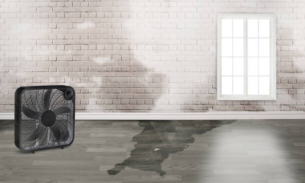 Local water damage restoration in GA