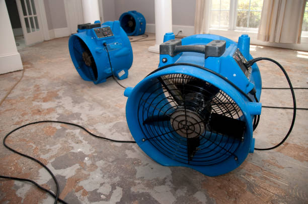 Best Water damage restoration specialists  in Lithia Springs, GA