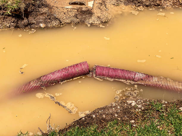 Best Water damage contractors near me  in Lithia Springs, GA
